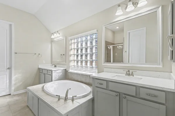 a bathroom with a sink a bathtub a mirror a vanity and a shower