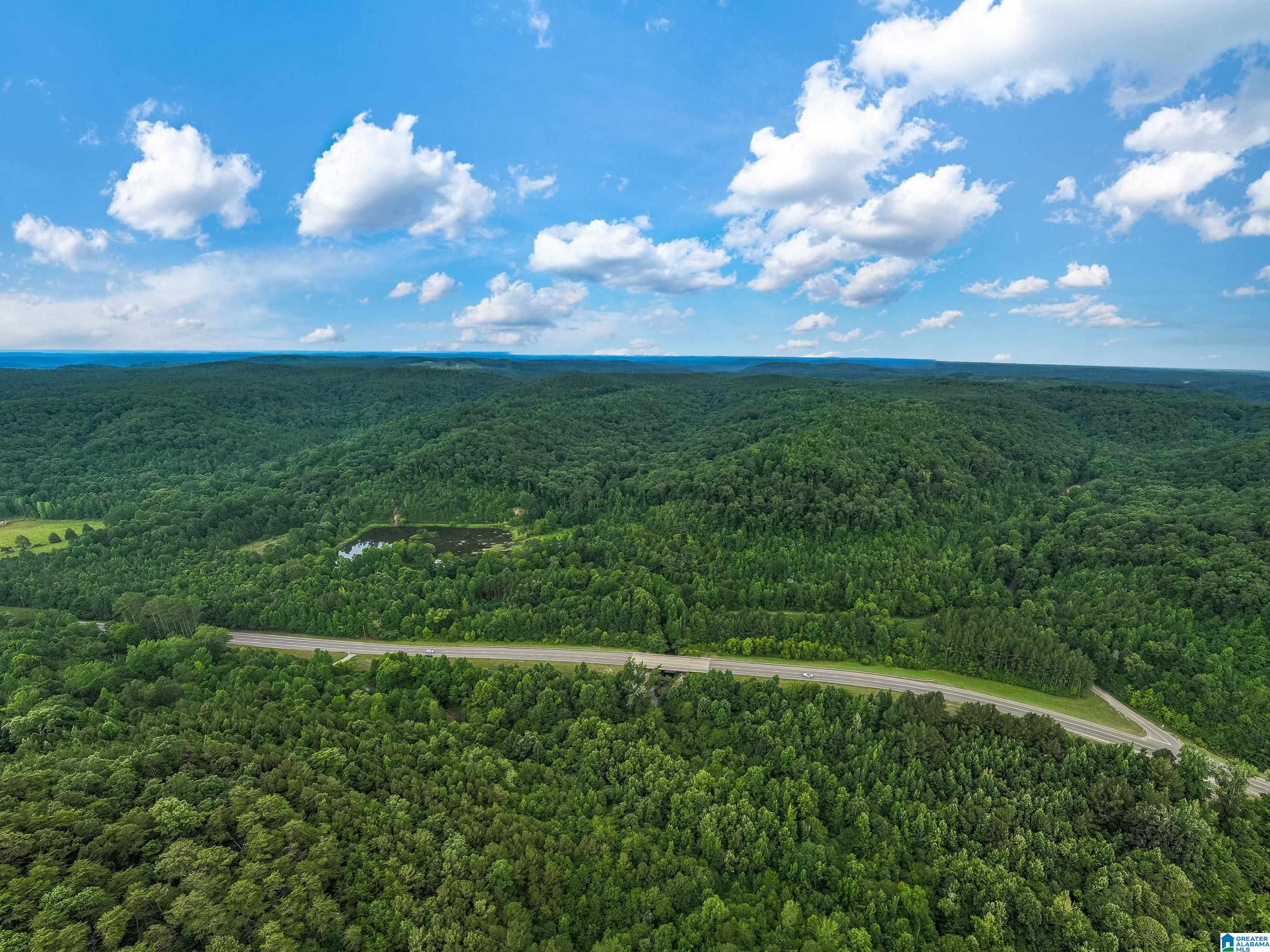 81 Frozen Hollow Road, Unit 32 Carbon Hill, AL 35549 - Photo 1 of 42