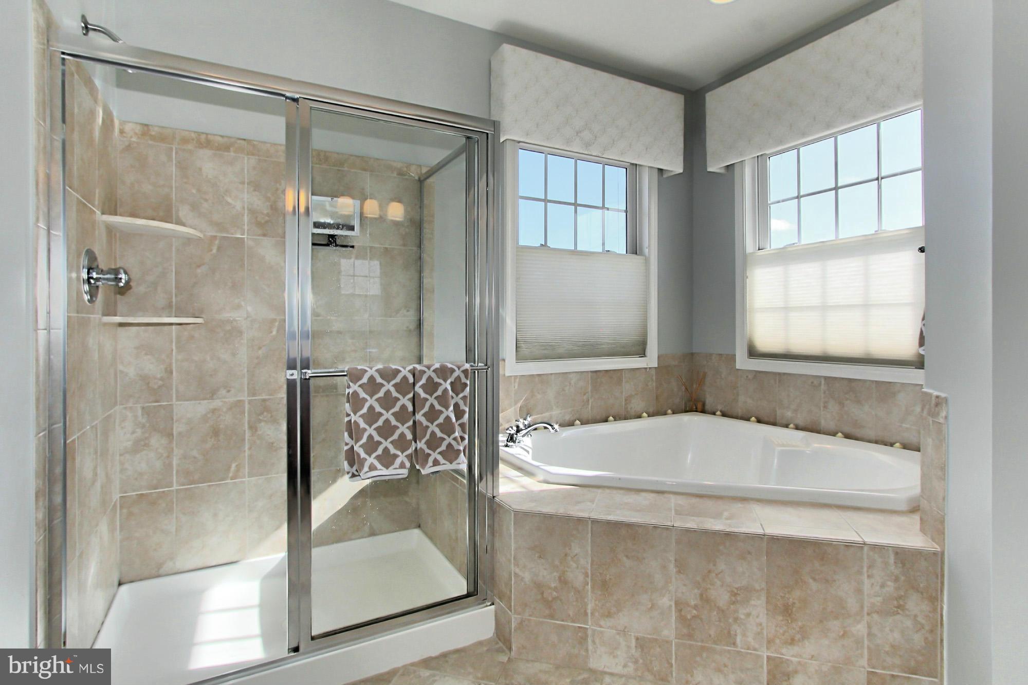 42480 Spring Splendor Drive Ashburn, VA 20148 - Photo 14 of 30 Spa Toned Tile and Sep Soaking Tub Shower