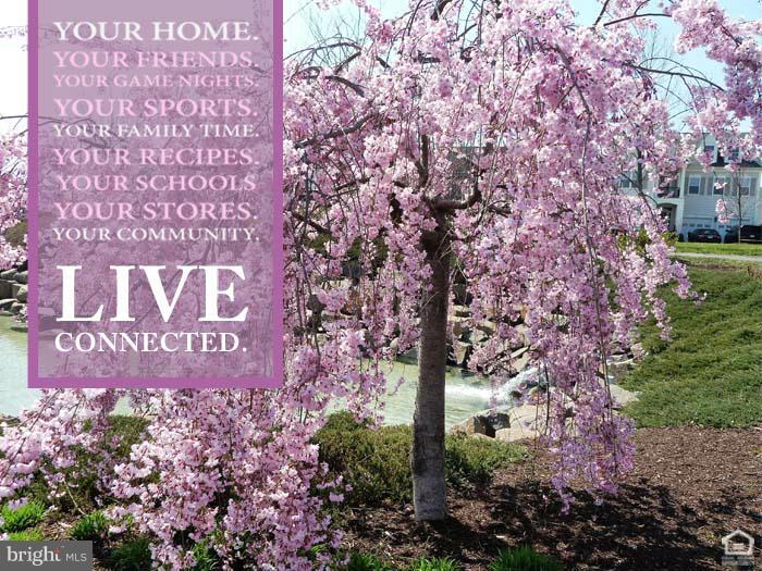 42480 Spring Splendor Drive Ashburn, VA 20148 - Photo 30 of 30 Fall in Love w Brambleton, just like US!!