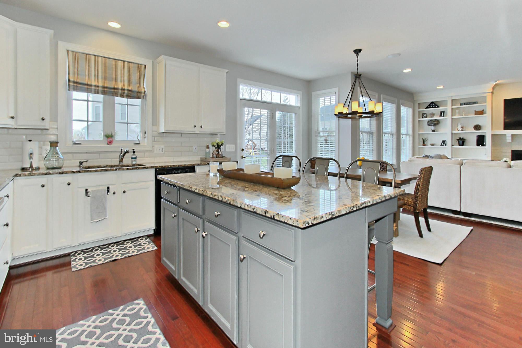 42480 Spring Splendor Drive Ashburn, VA 20148 - Photo 10 of 30 Huge Island w/out Cooktop!