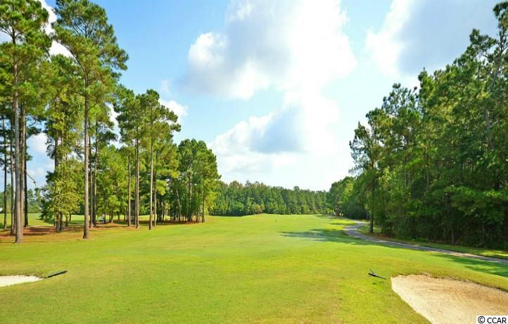 2455 Rock Dove Road Myrtle Beach, SC 29577 - Photo 17 of 25 Gallery Image 17