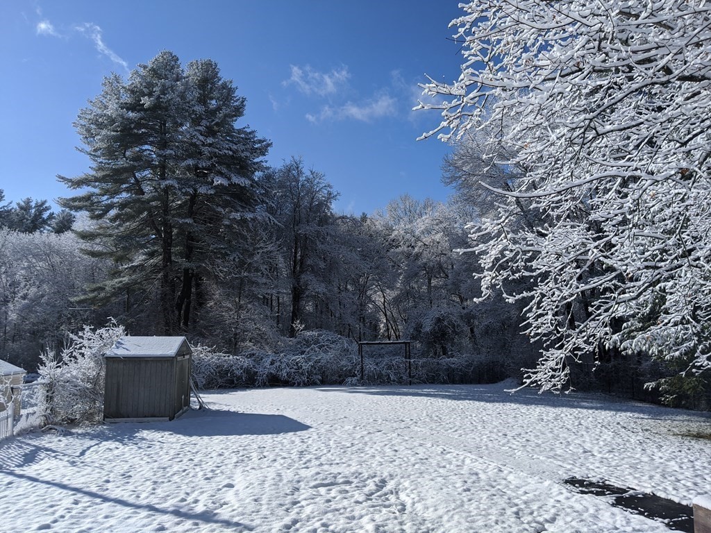 254 Edgell Road Framingham, MA 01701 - Photo 39 of 42 a view of a yard with plants and trees
