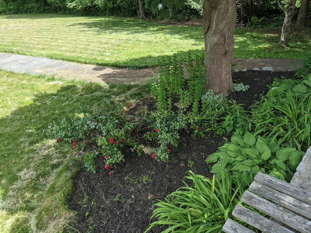 254 Edgell Road Framingham, MA 01701 - Photo 42 of 42 a view of a lake with a yard
