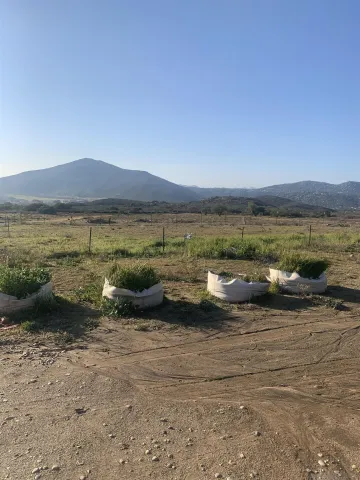 $980,000 | 25675 Potrero Park Drive, Potrero, CA 91963