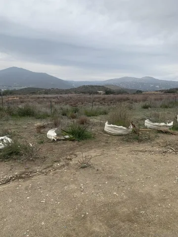 $980,000 | 25675 Potrero Park Drive, Potrero, CA 91963