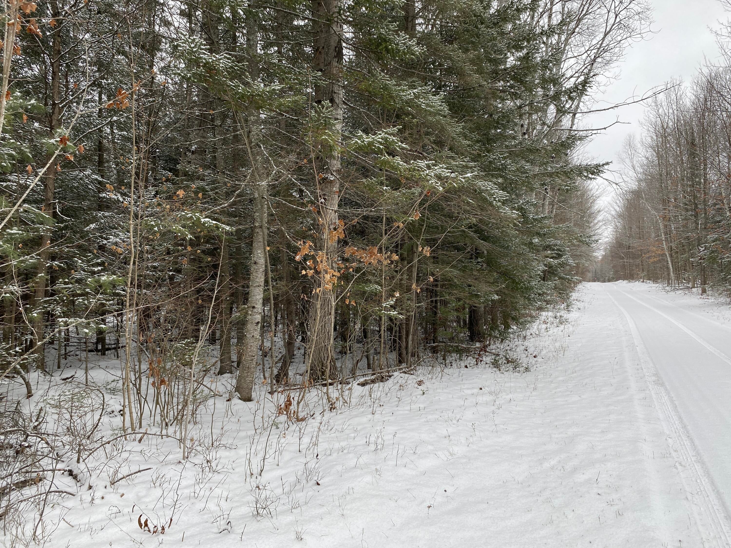 Peters Road Posen, MI 49776 - Photo 10 of 13 Gallery Image 10