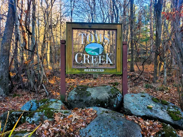 $15,900 | 0 Toms Creek Drive, Unit 1, Roan Mountain, TN 37687
