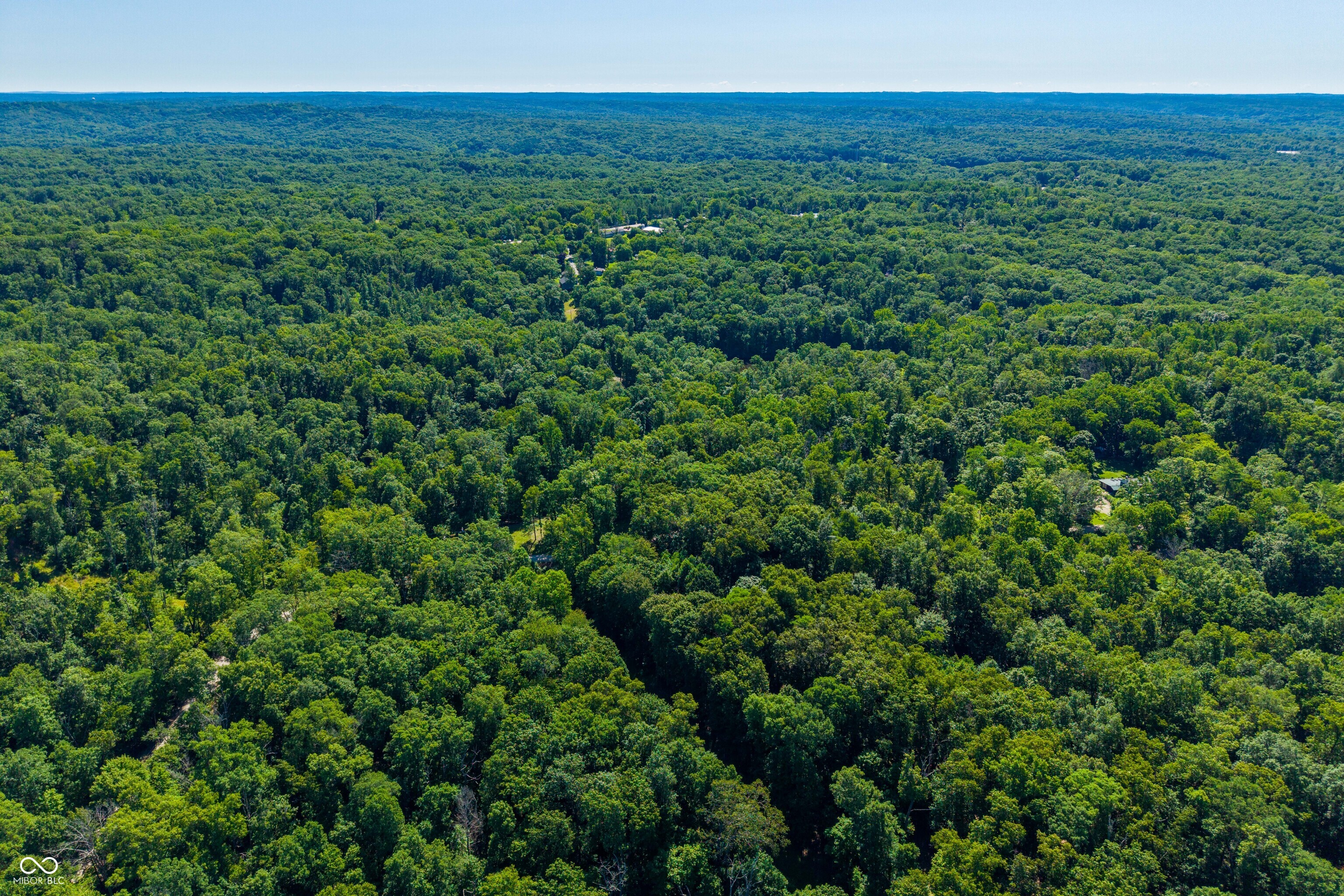 0 Jackson Branch Ridge Road Nashville, IN 47448 - Photo 14 of 31