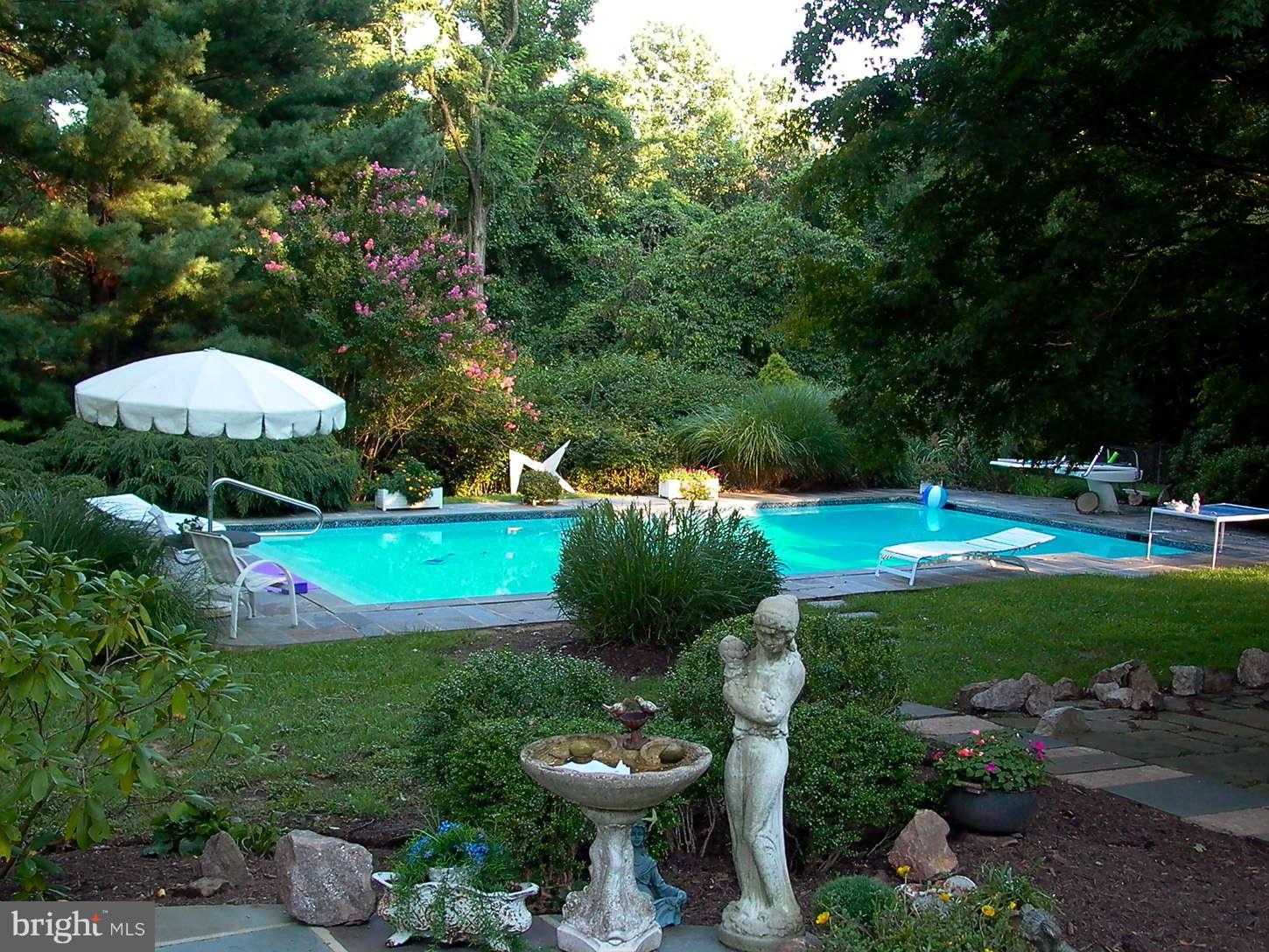9701 Kendale Road Potomac, MD 20854 - Photo 22 of 24 Backyard with Pool