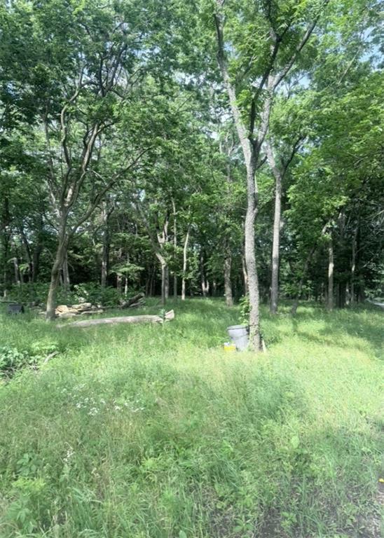 Metcalf Rd Road Louisburg, KS 66053 - Photo 5 of 12