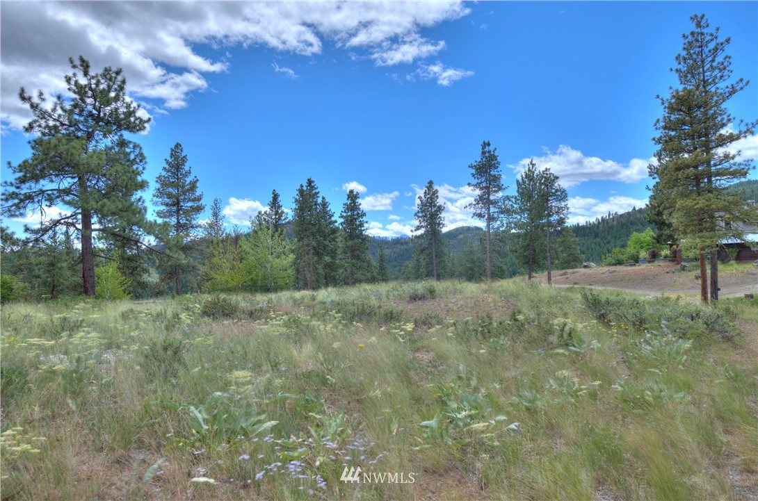36 Nighthawk Ridge Road Winthrop, WA 98862 - Photo 23 of 40 Gallery Image 23