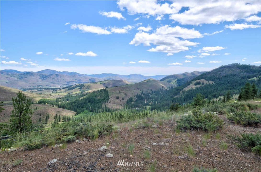 36 Nighthawk Ridge Road Winthrop, WA 98862 - Photo 29 of 40 Gallery Image 29