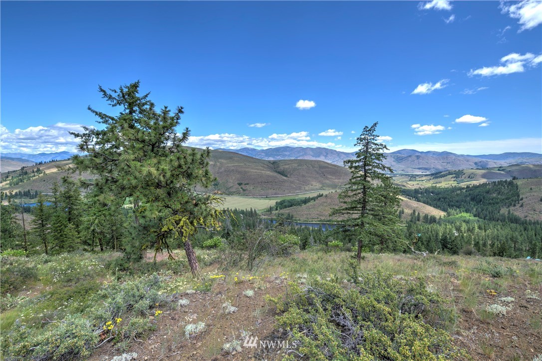 36 Nighthawk Ridge Road Winthrop, WA 98862 - Photo 31 of 40 Gallery Image 31