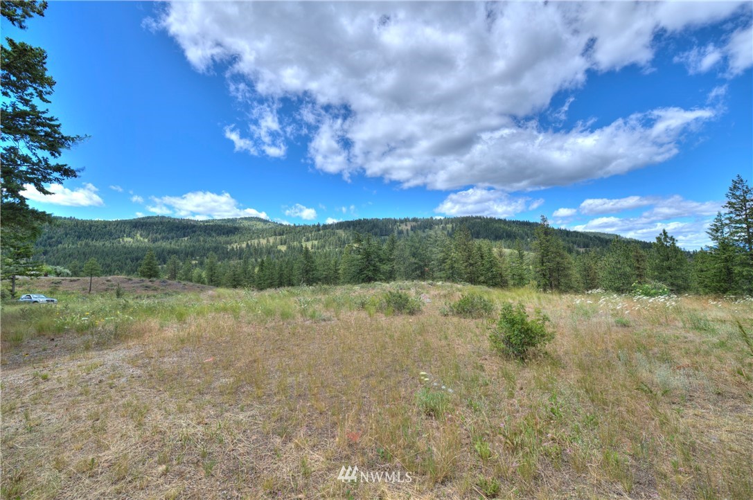 36 Nighthawk Ridge Road Winthrop, WA 98862 - Photo 33 of 40 Gallery Image 33