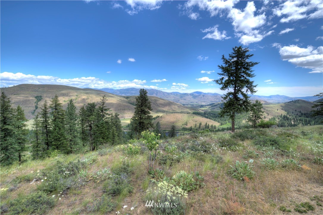 36 Nighthawk Ridge Road Winthrop, WA 98862 - Photo 37 of 40 Gallery Image 37