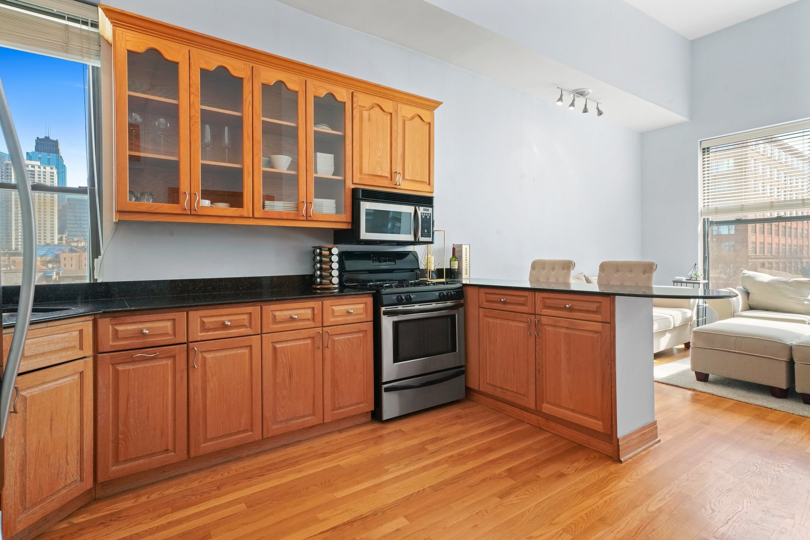 832 West Adams Street, Unit 3 Chicago, IL 60607 - Photo 5 of 22