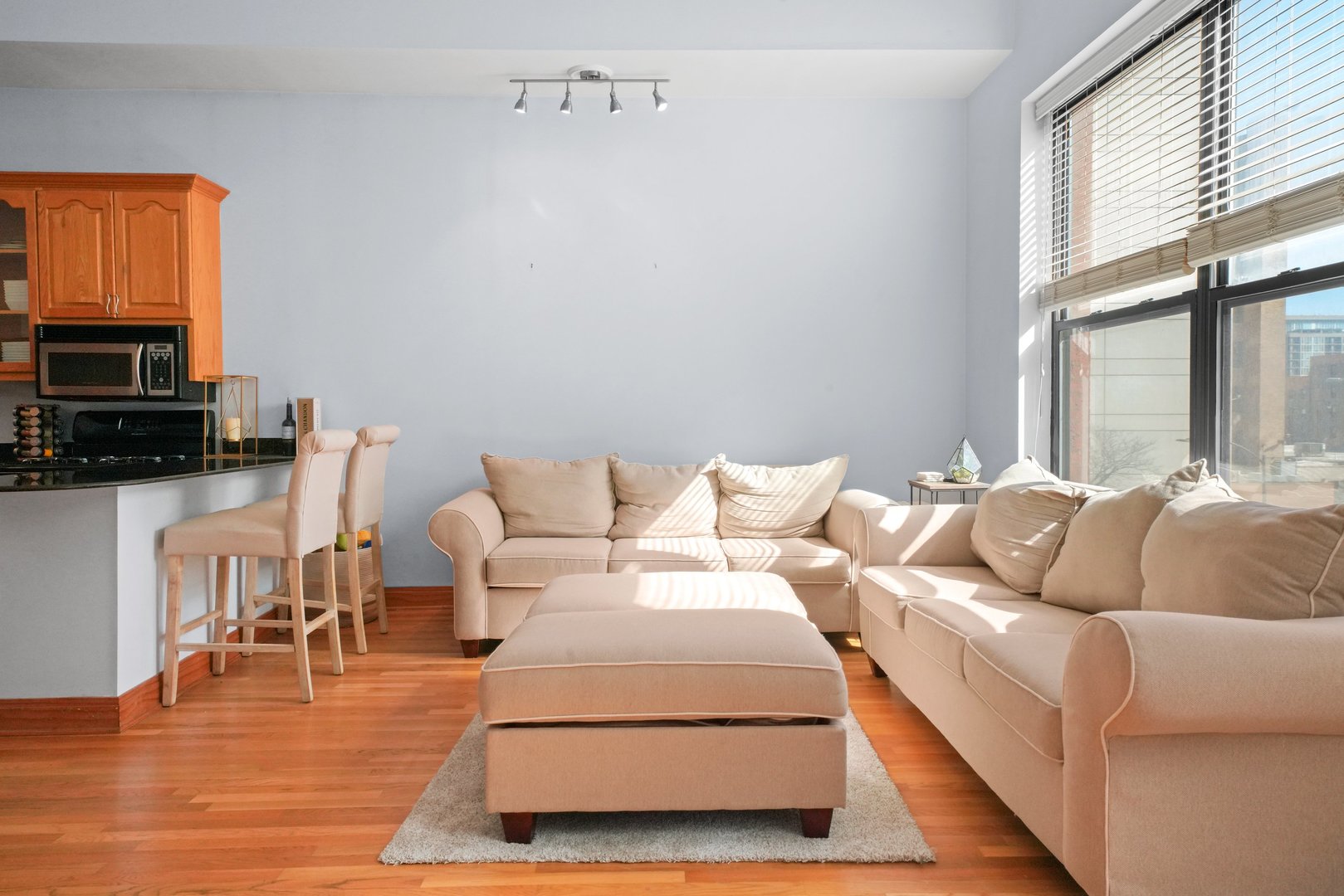 832 West Adams Street, Unit 3 Chicago, IL 60607 - Photo 6 of 22