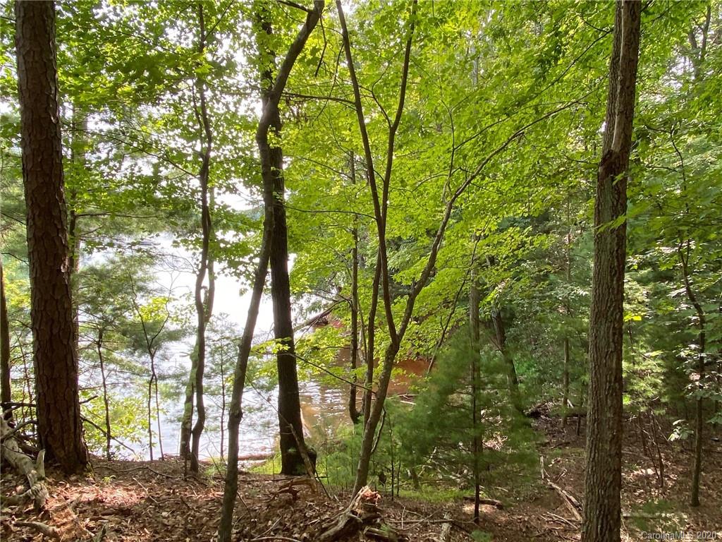 2253 Long Rifle Ridge Road Nebo, NC 28761 - Photo 11 of 14 Gallery Image 11