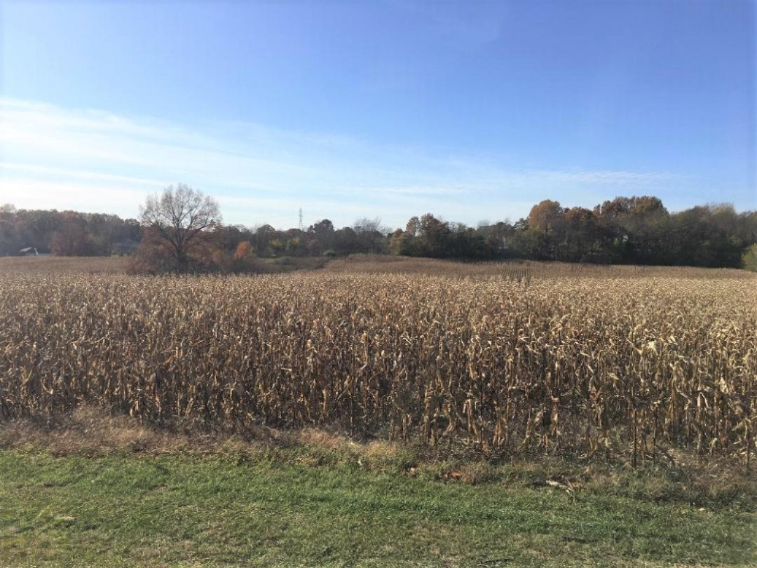 0 North Park Road Coloma, MI 49038 - Photo 4 of 7 thumbnail2