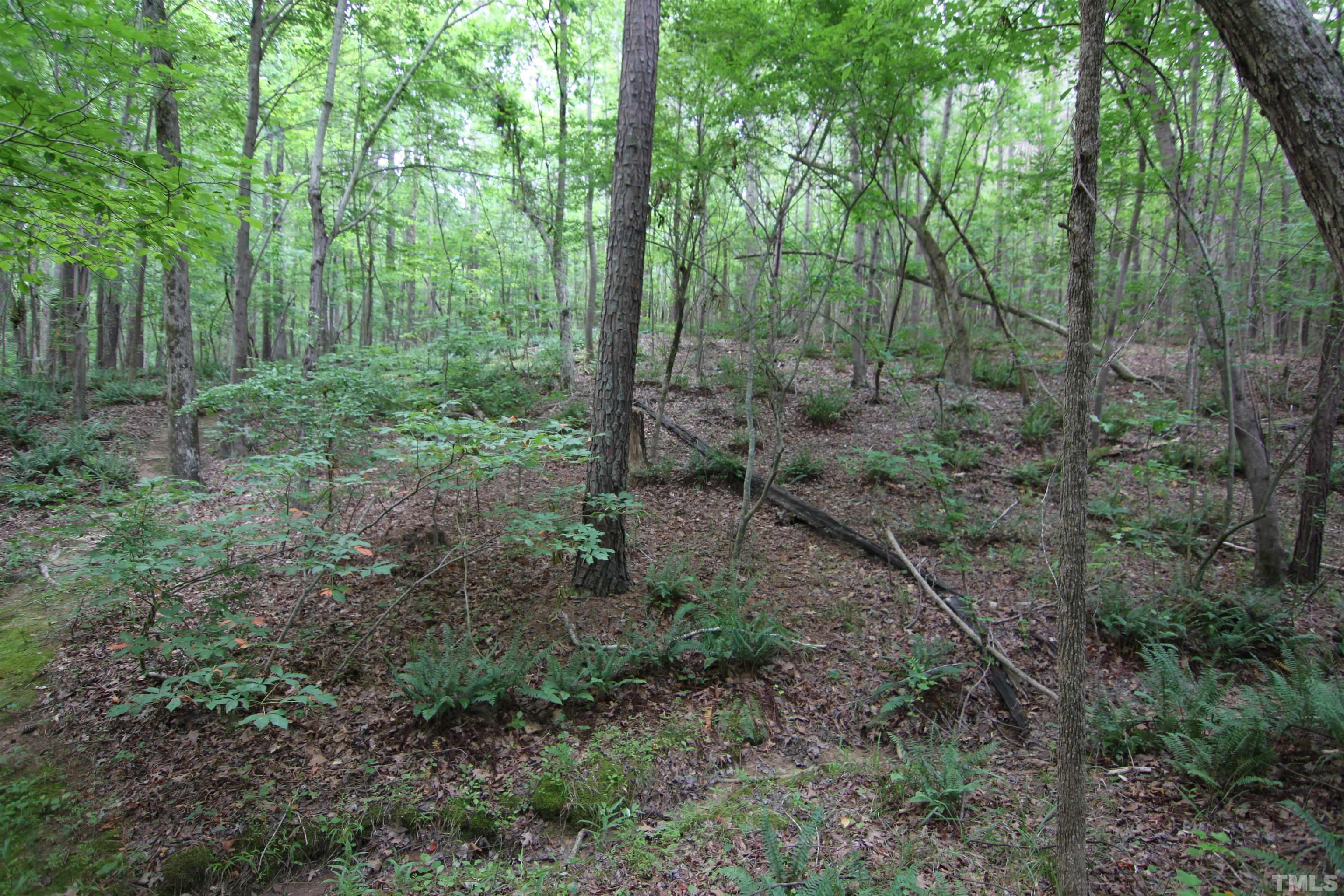 3093 Baptist Road Durham, NC 27703 - Photo 54 of 76 Gallery Image 54
