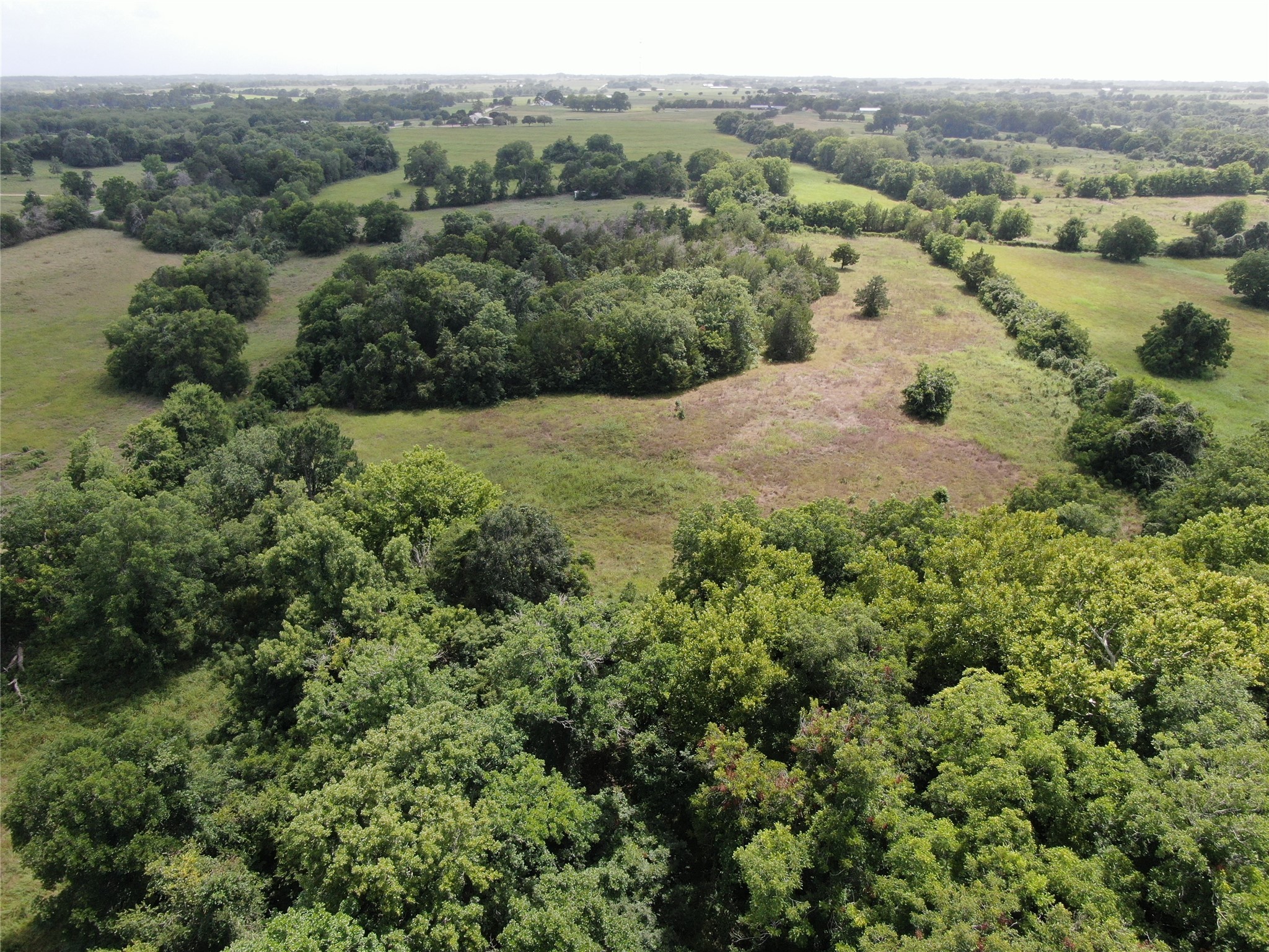 1399 Star Hill Road New Ulm, TX 78950 - Photo 11 of 42 an aerial view of houses covered in trees