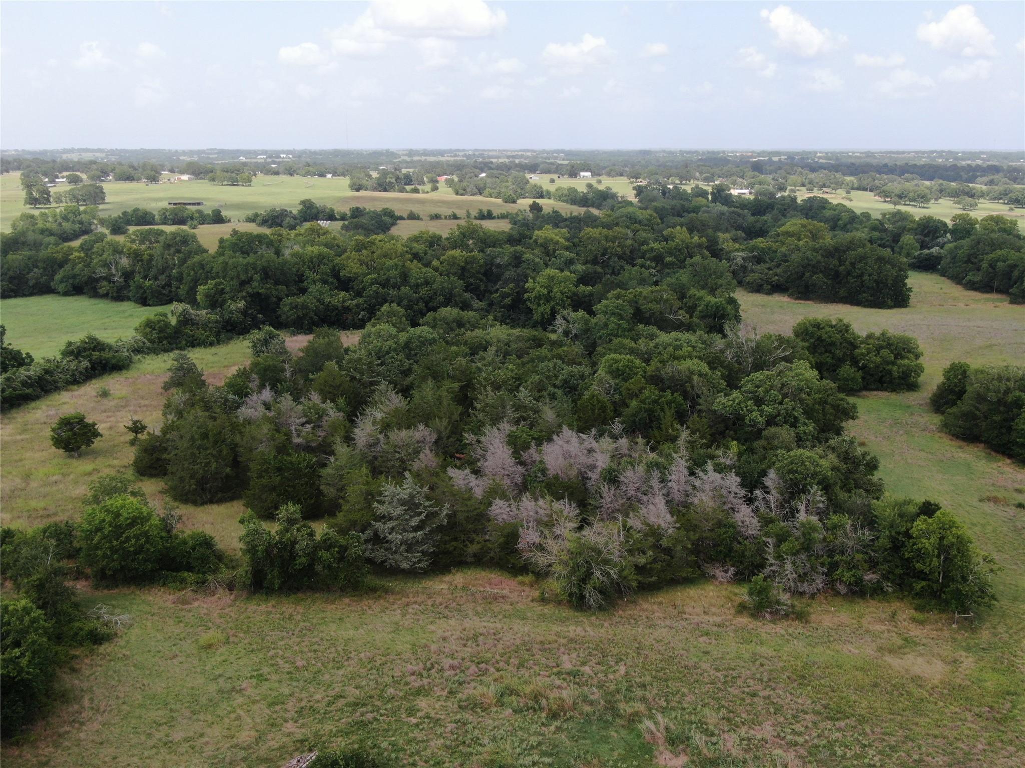 1399 Star Hill Road New Ulm, TX 78950 - Photo 13 of 42 an aerial view of a houses with a yard