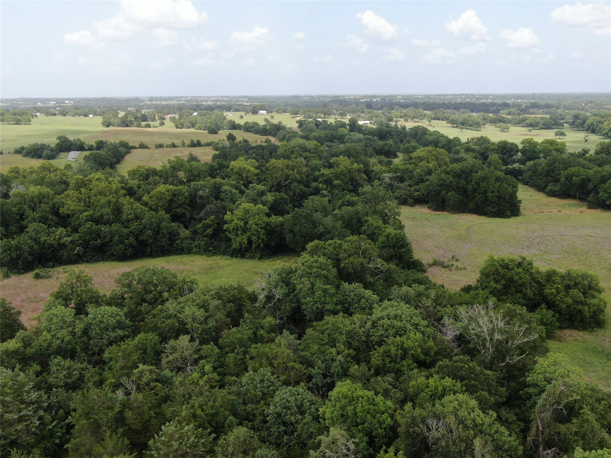 1399 Star Hill Road New Ulm, TX 78950 - Photo 14 of 42 an aerial view of residential houses with outdoor space and trees