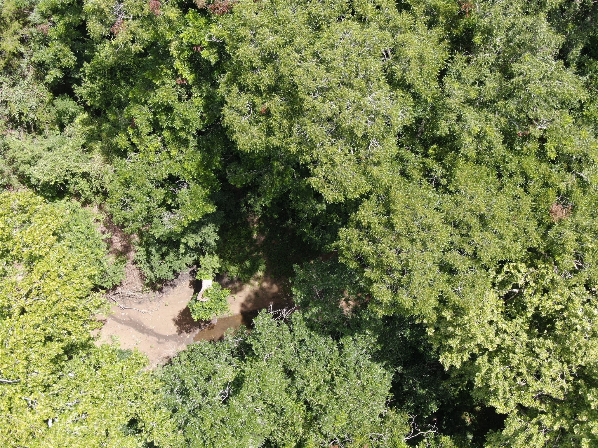 1399 Star Hill Road New Ulm, TX 78950 - Photo 15 of 42