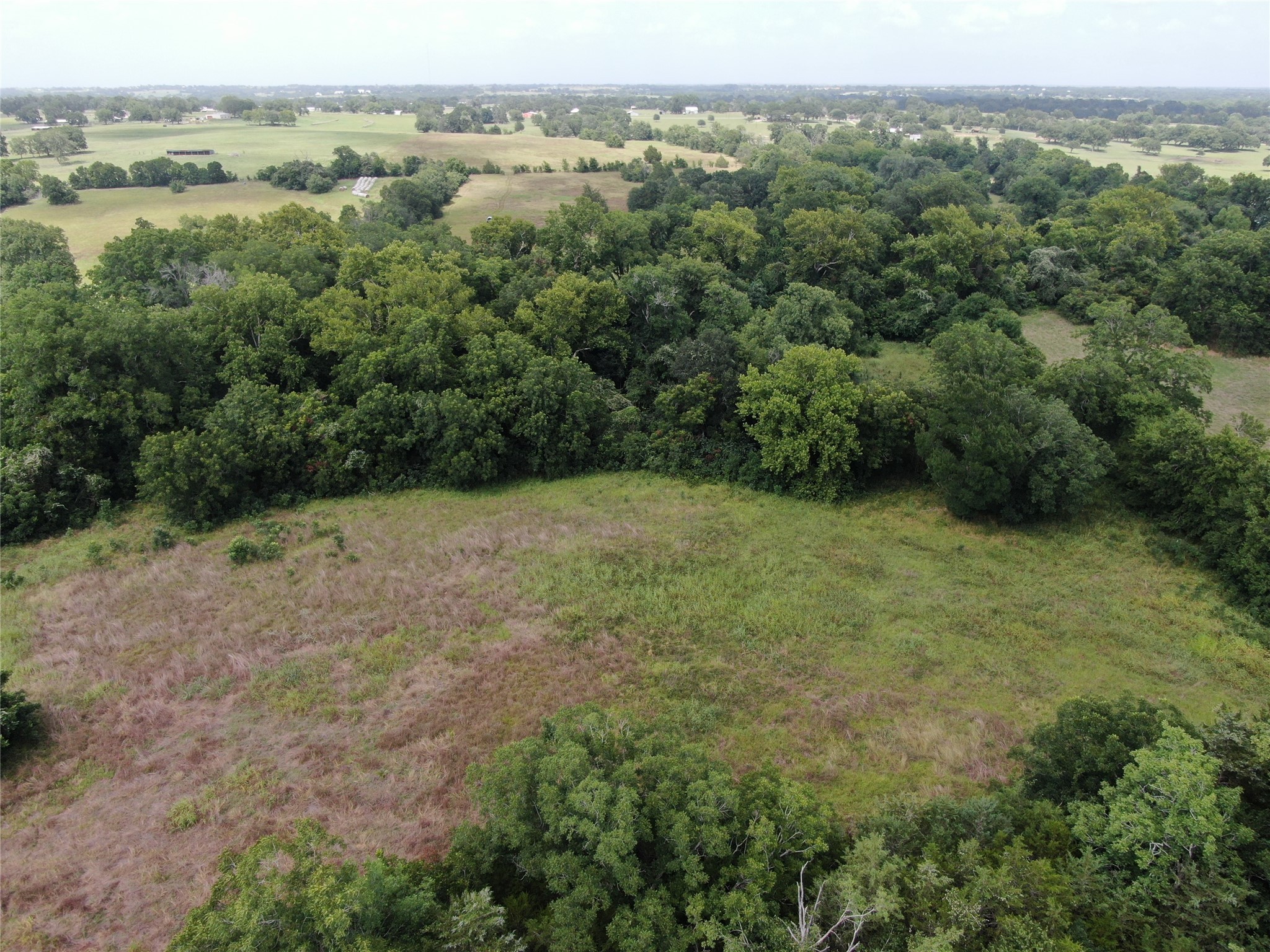 1399 Star Hill Road New Ulm, TX 78950 - Photo 16 of 42