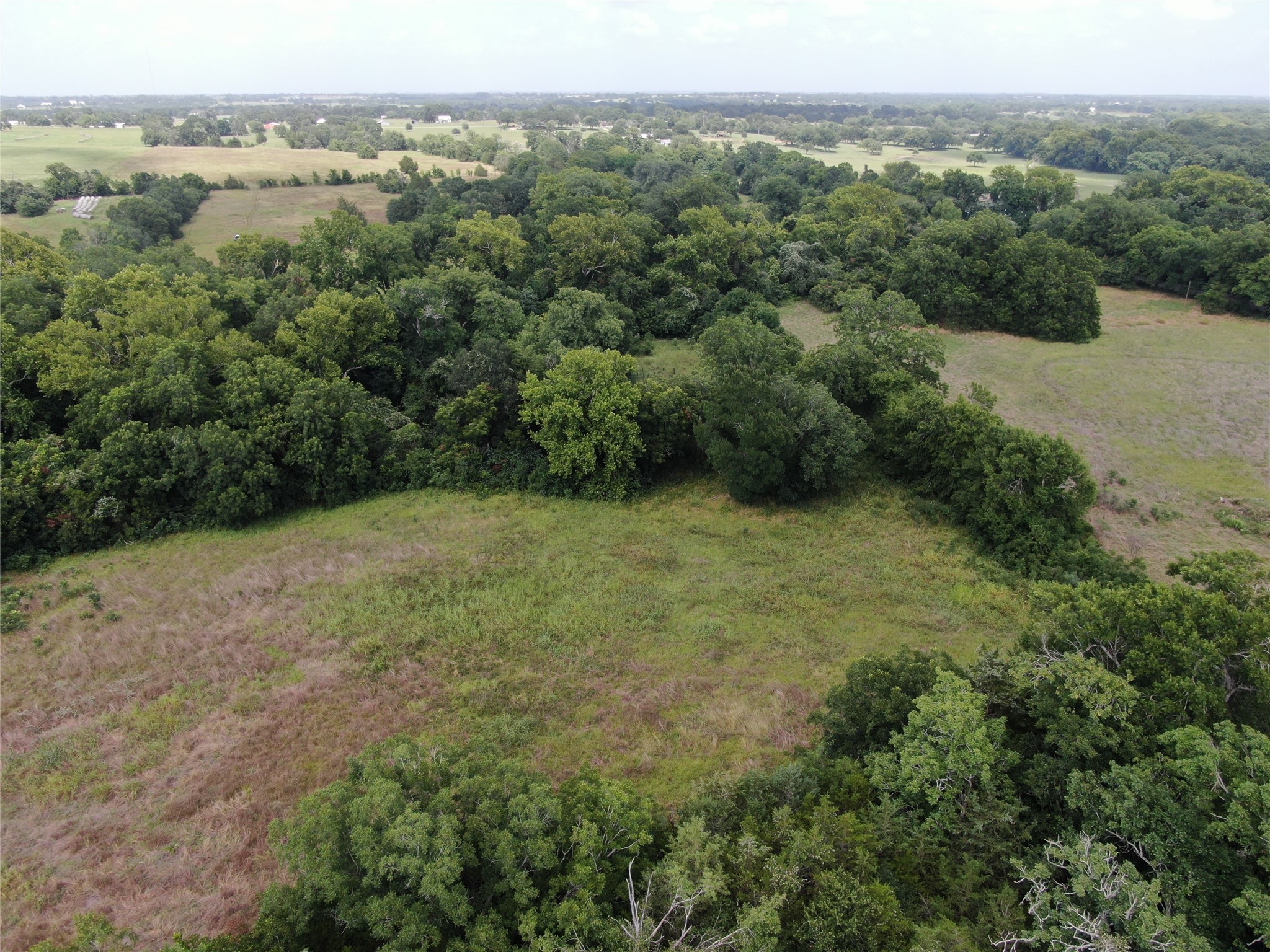 1399 Star Hill Road New Ulm, TX 78950 - Photo 17 of 42