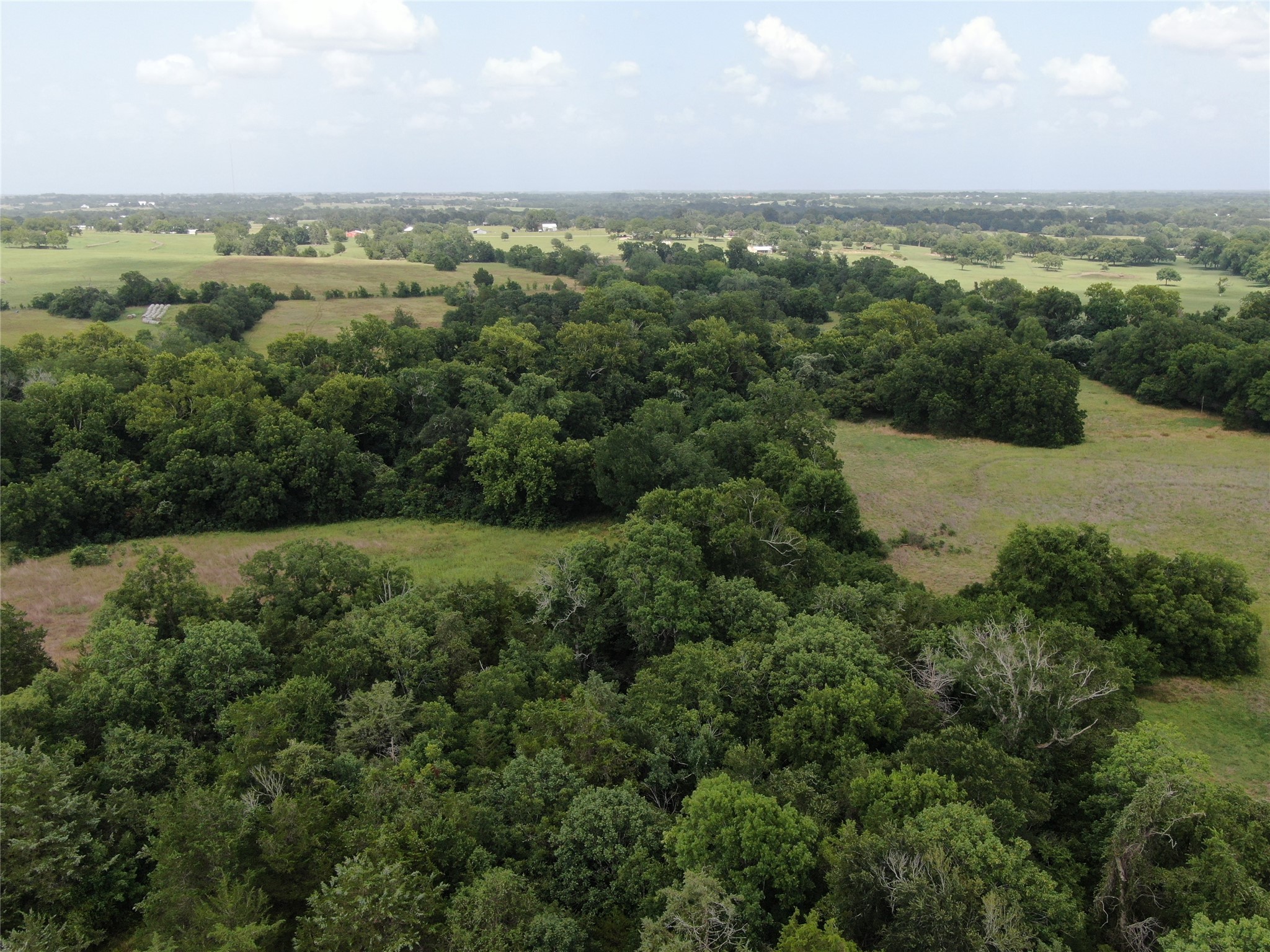 1399 Star Hill Road New Ulm, TX 78950 - Photo 18 of 42