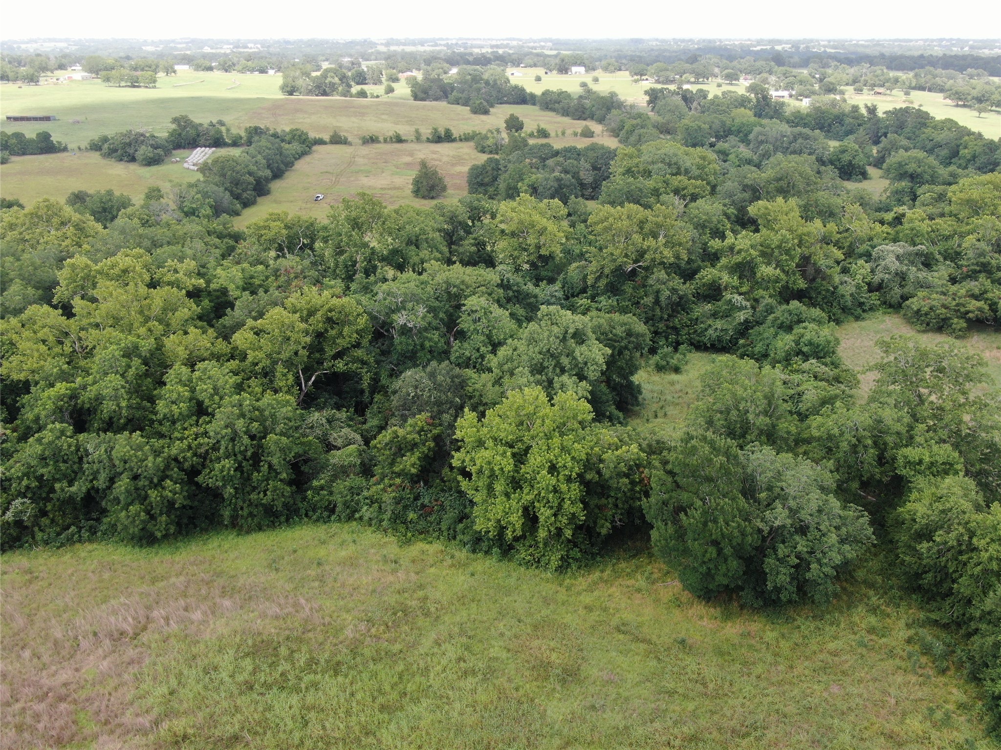 1399 Star Hill Road New Ulm, TX 78950 - Photo 19 of 42 an aerial view of residential houses with outdoor space and trees