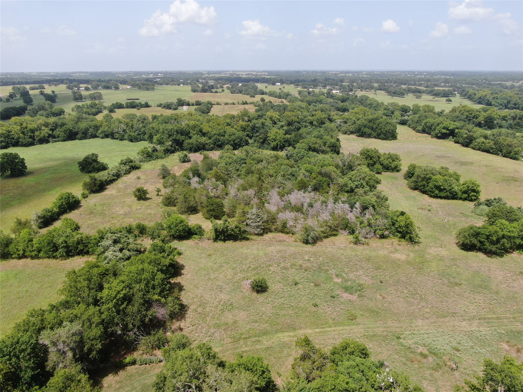 1399 Star Hill Road New Ulm, TX 78950 - Photo 21 of 42 an aerial view of a houses with a yard