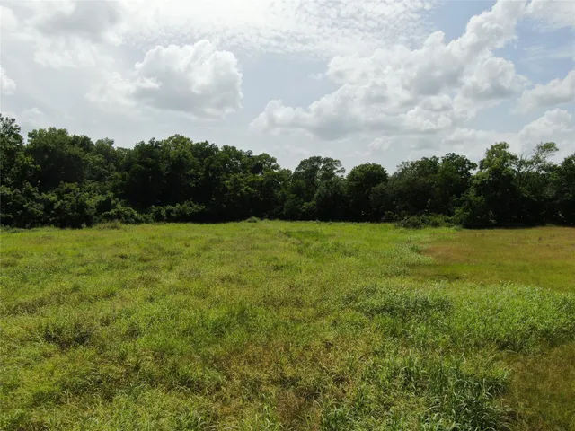a big yard with lots of green space and house view