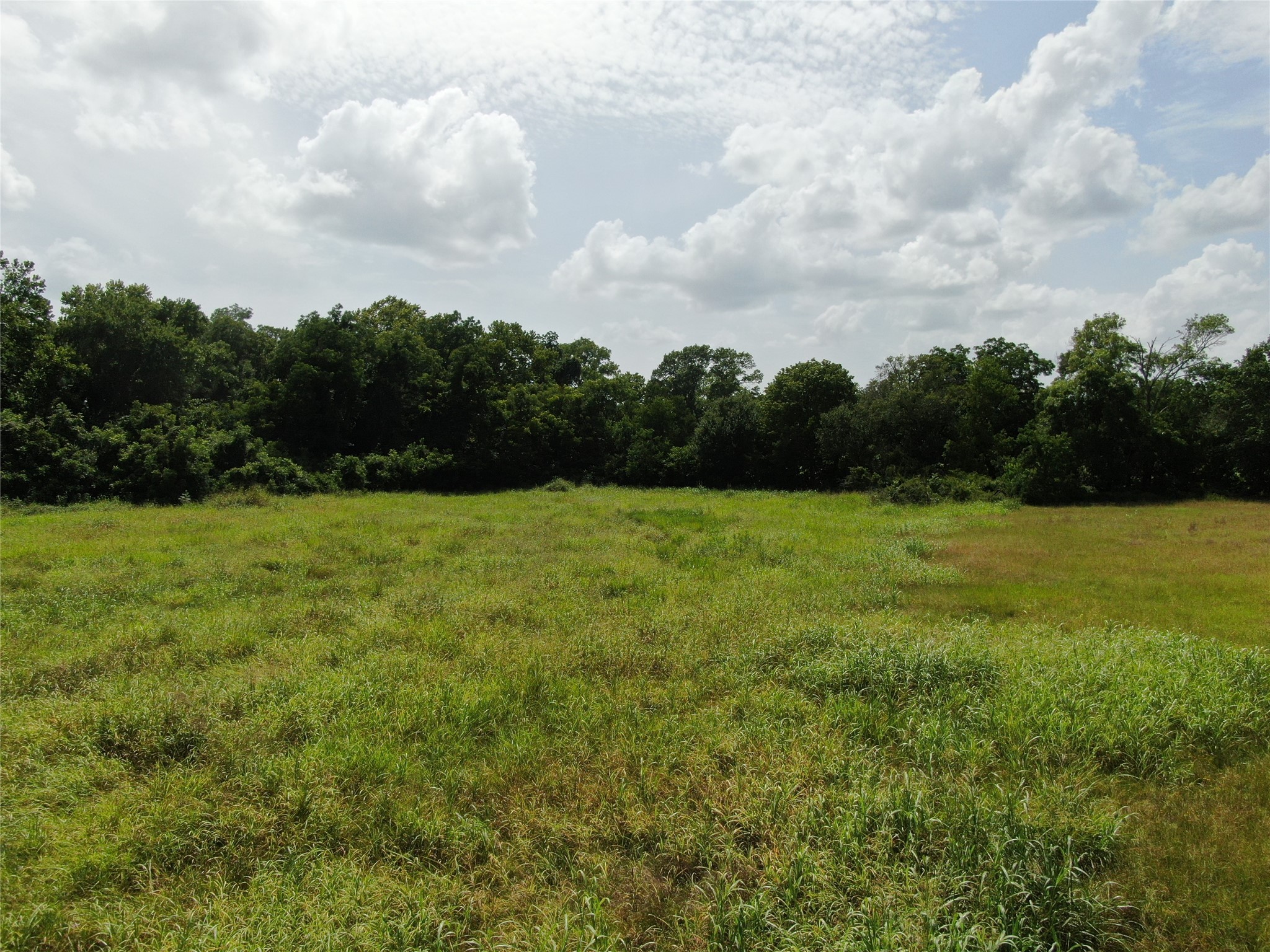 1399 Star Hill Road New Ulm, TX 78950 - Photo 23 of 42 a view of a garden and basketball court