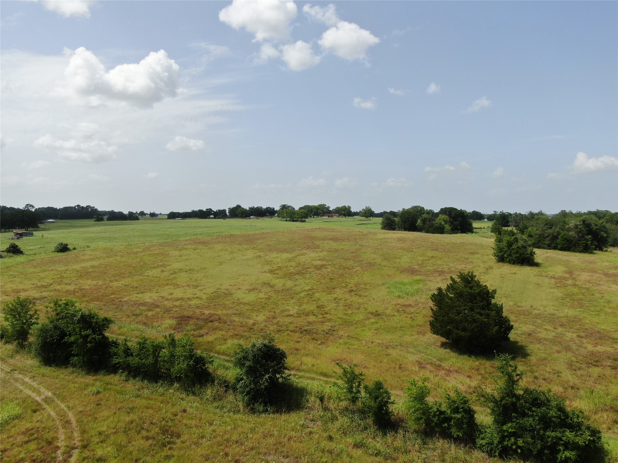 1399 Star Hill Road New Ulm, TX 78950 - Photo 24 of 42