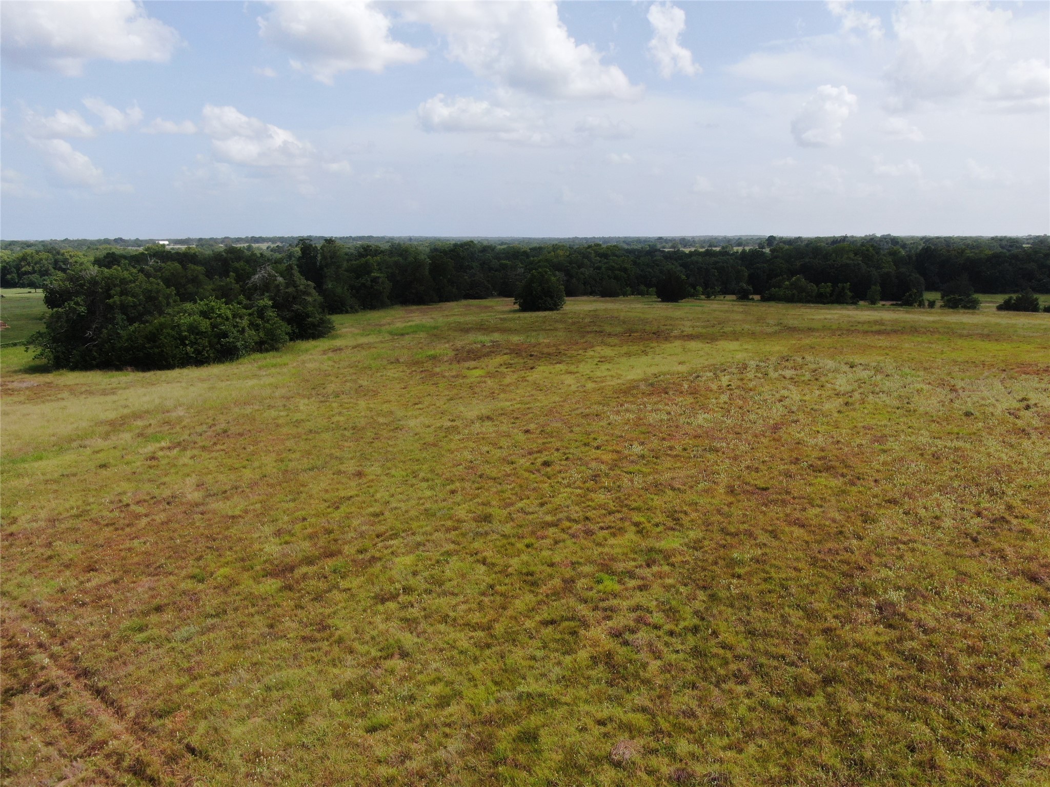1399 Star Hill Road New Ulm, TX 78950 - Photo 26 of 42 a view of yard with swimming pool and green space