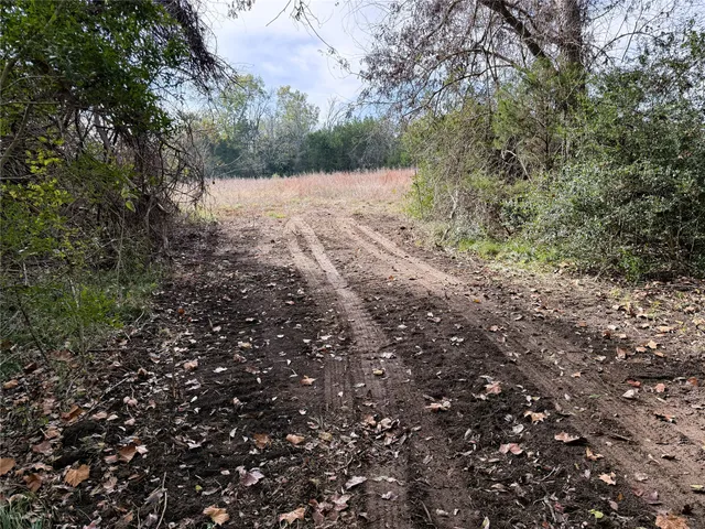 $997,731 | 1399 Star Hill Road, New Ulm, TX 78950