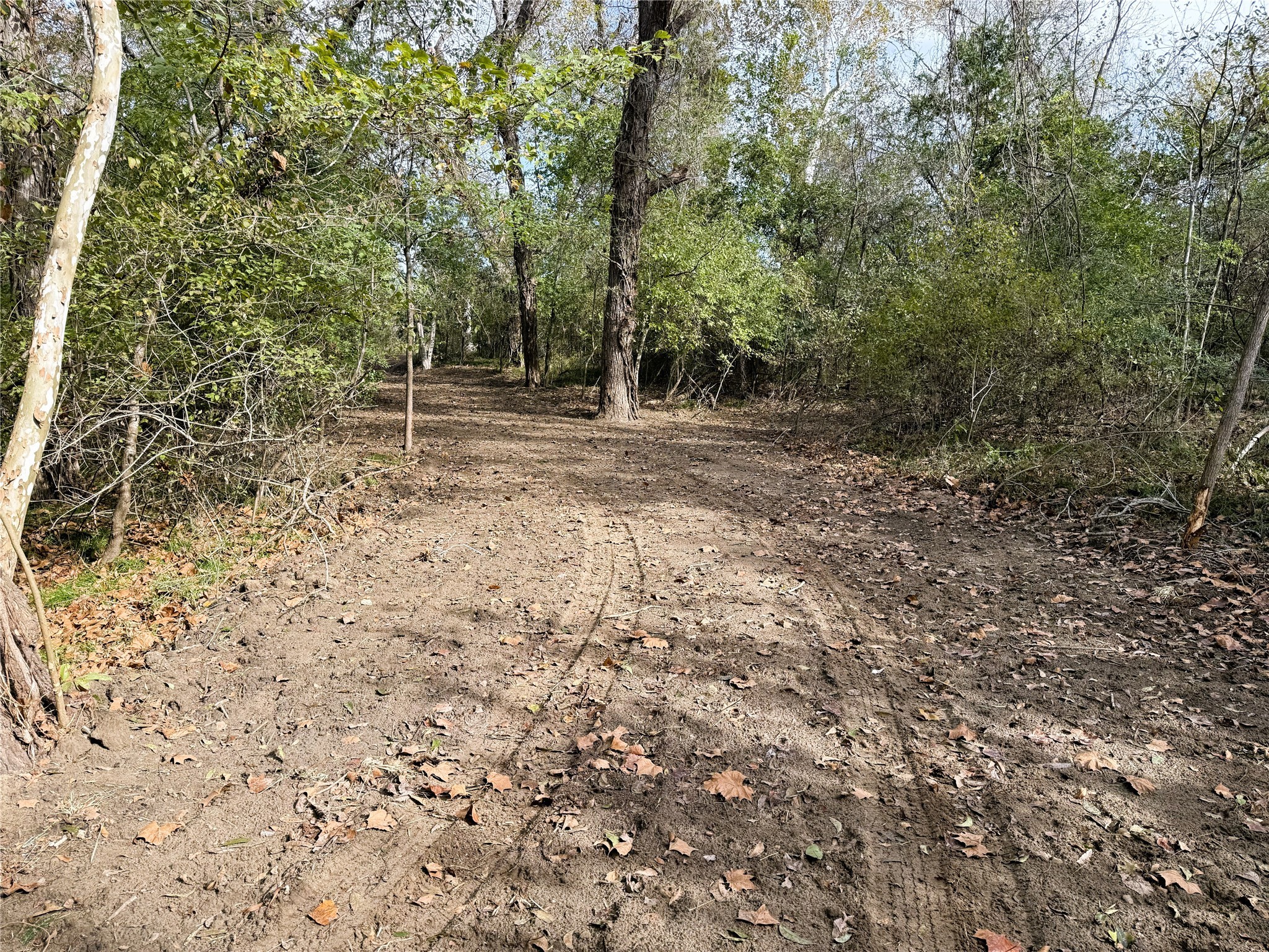1399 Star Hill Road New Ulm, TX 78950 - Photo 29 of 42 a view of outdoor space with deck and tree
