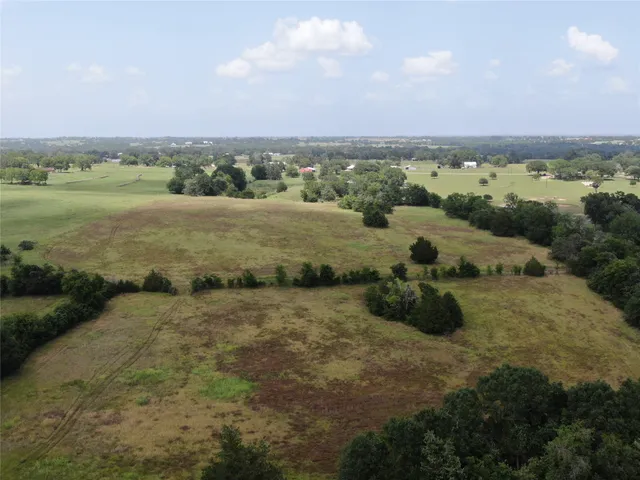 an aerial view of forest