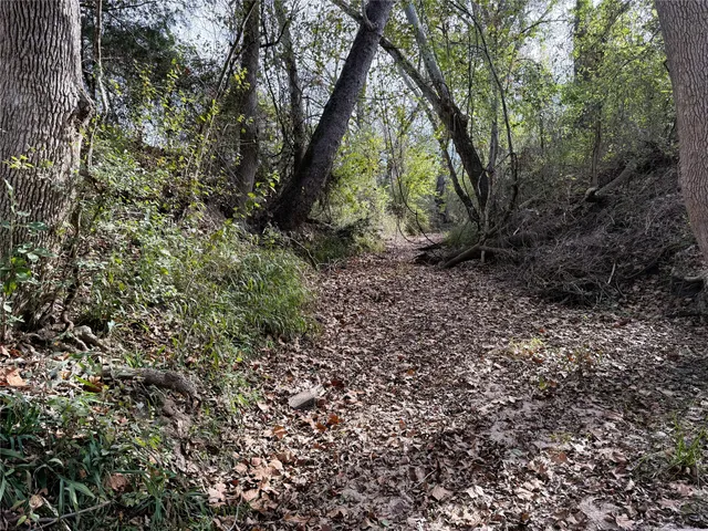 $997,731 | 1399 Star Hill Road, New Ulm, TX 78950