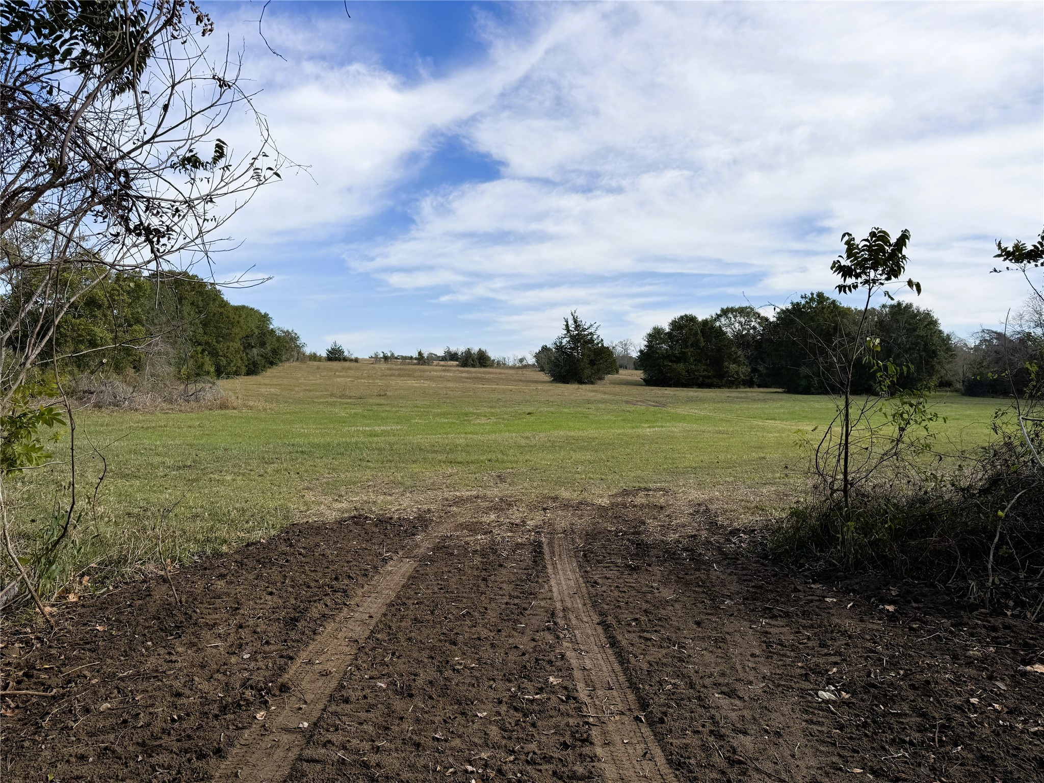 1399 Star Hill Road New Ulm, TX 78950 - Photo 39 of 42