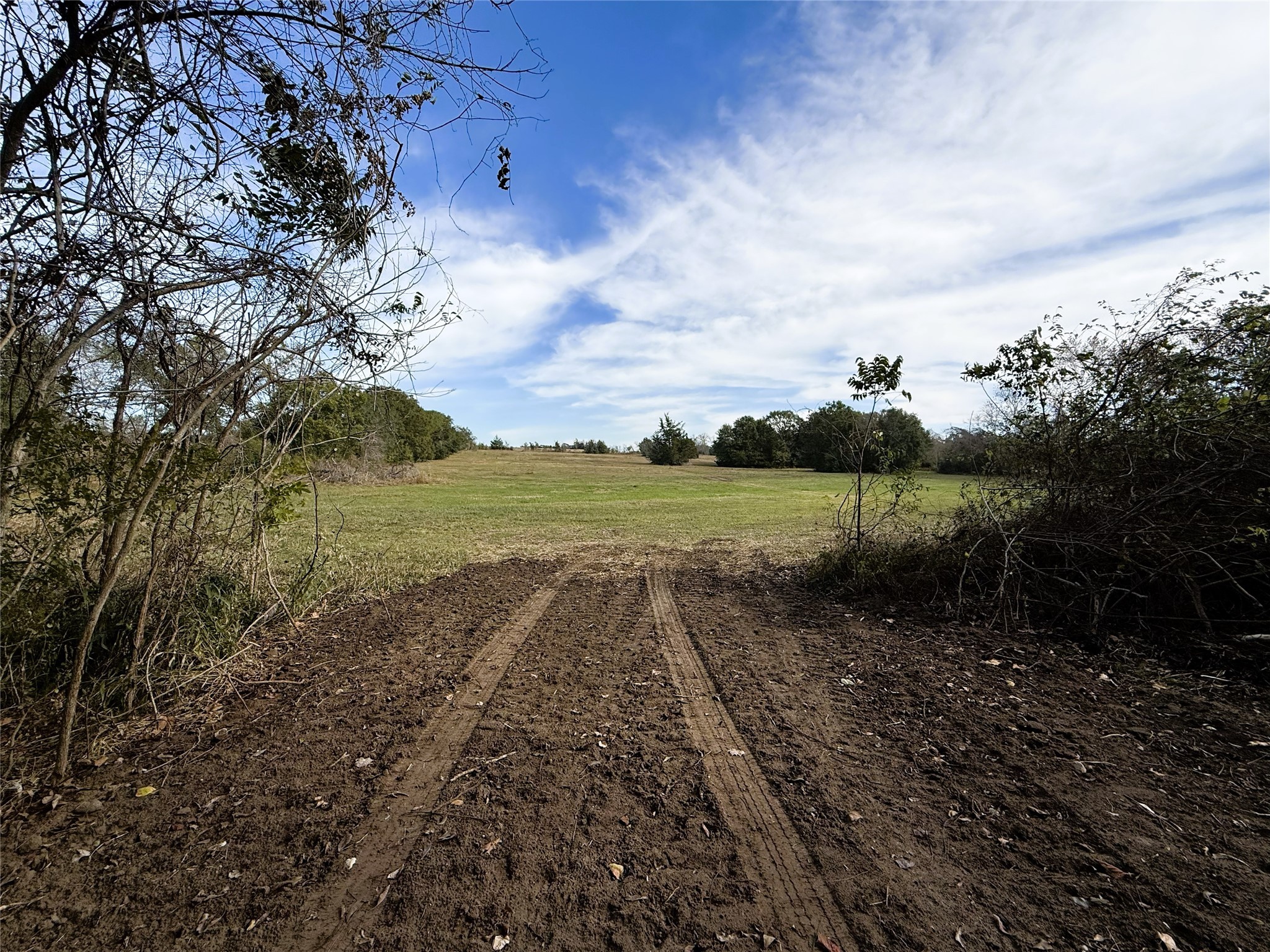1399 Star Hill Road New Ulm, TX 78950 - Photo 40 of 42