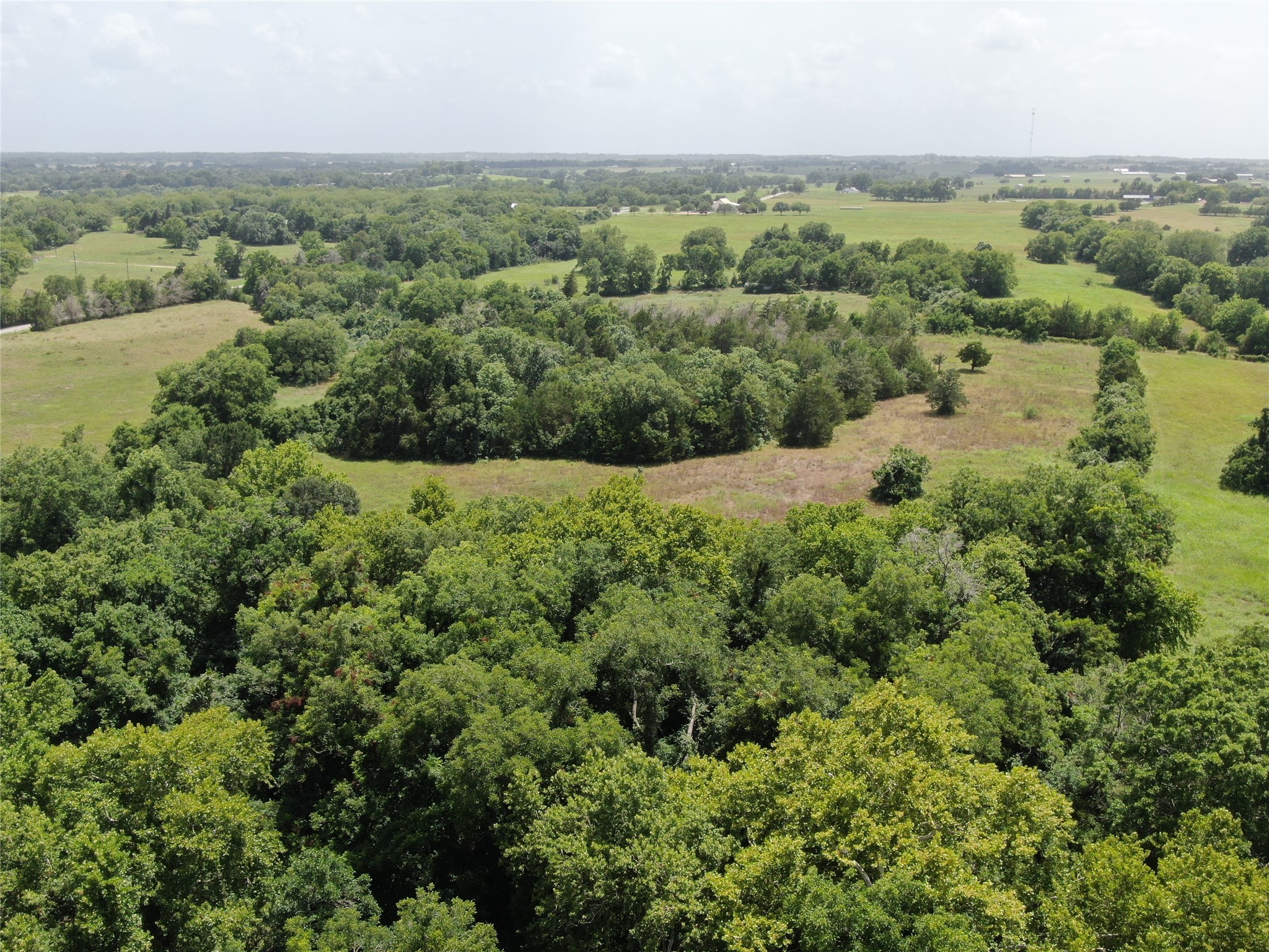 1399 Star Hill Road New Ulm, TX 78950 - Photo 4 of 42 an aerial view of forest