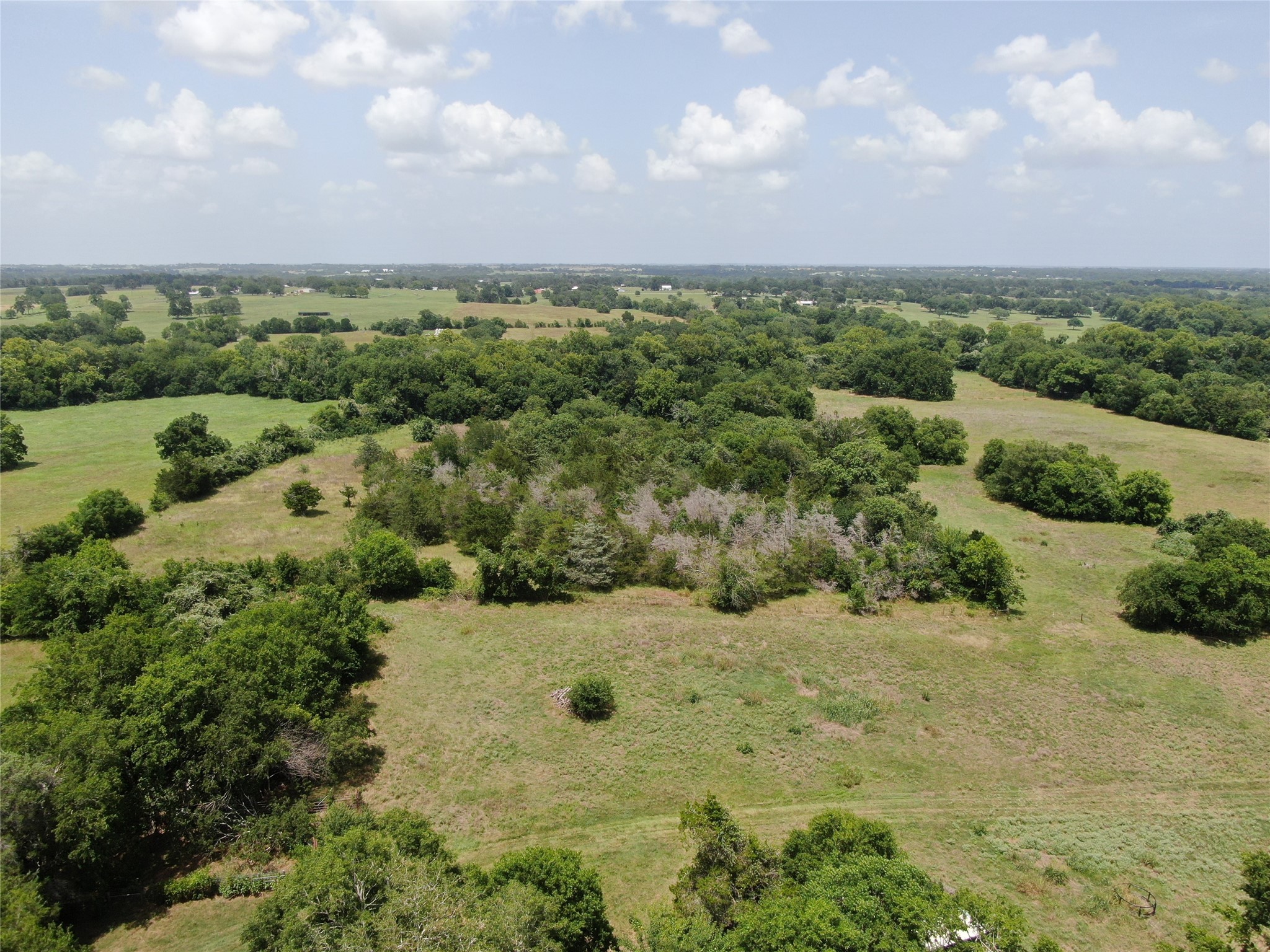 1399 Star Hill Road New Ulm, TX 78950 - Photo 5 of 42 an aerial view of a houses with yard