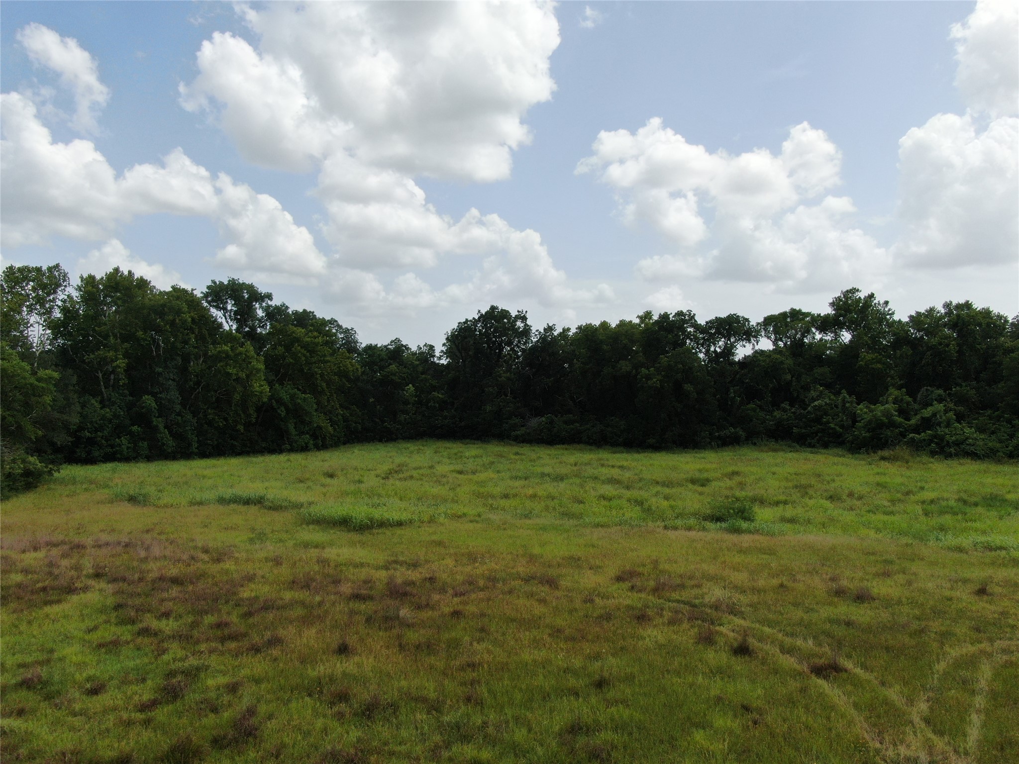 1399 Star Hill Road New Ulm, TX 78950 - Photo 6 of 42 a view of outdoor space and yard