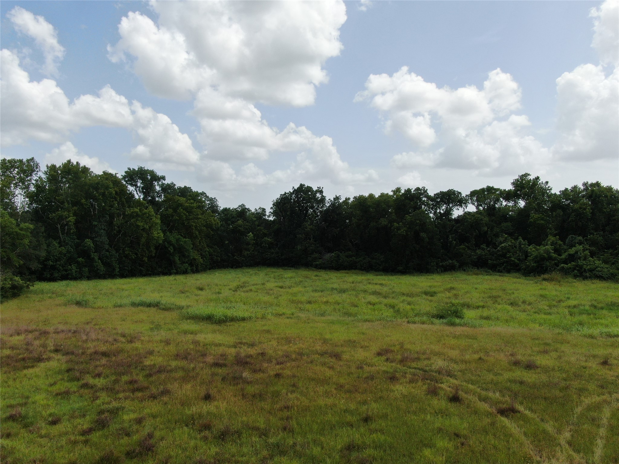1399 Star Hill Road New Ulm, TX 78950 - Photo 7 of 42 a view of outdoor space and yard