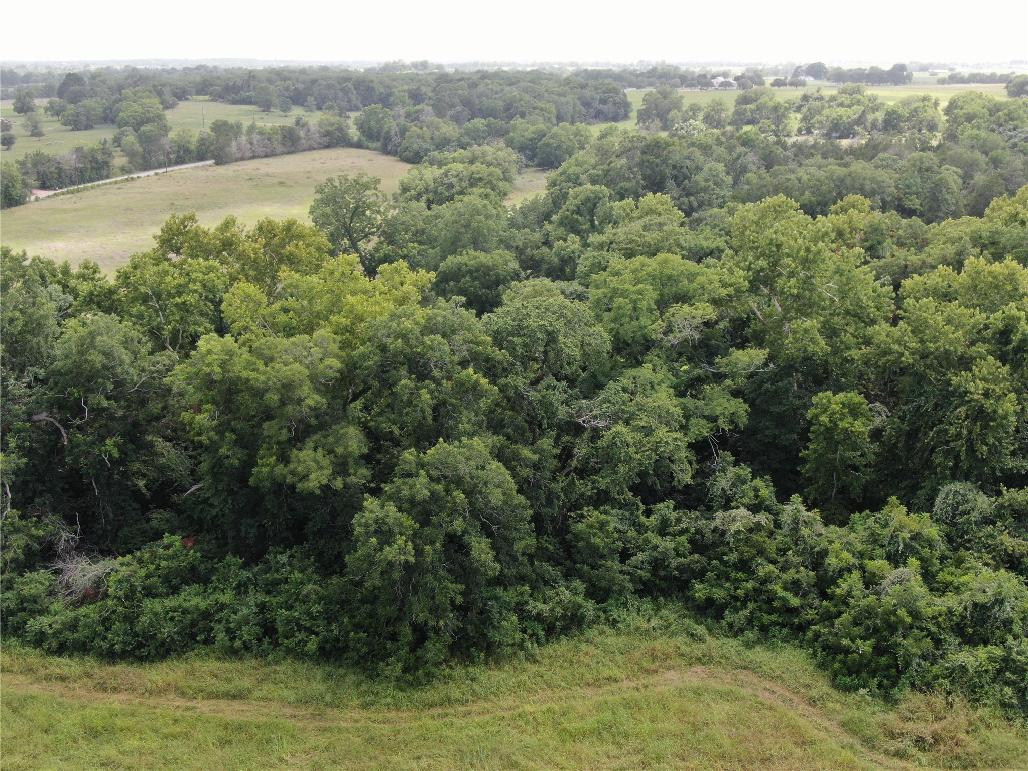1399 Star Hill Road New Ulm, TX 78950 - Photo 9 of 42 a view of a lake with a forest