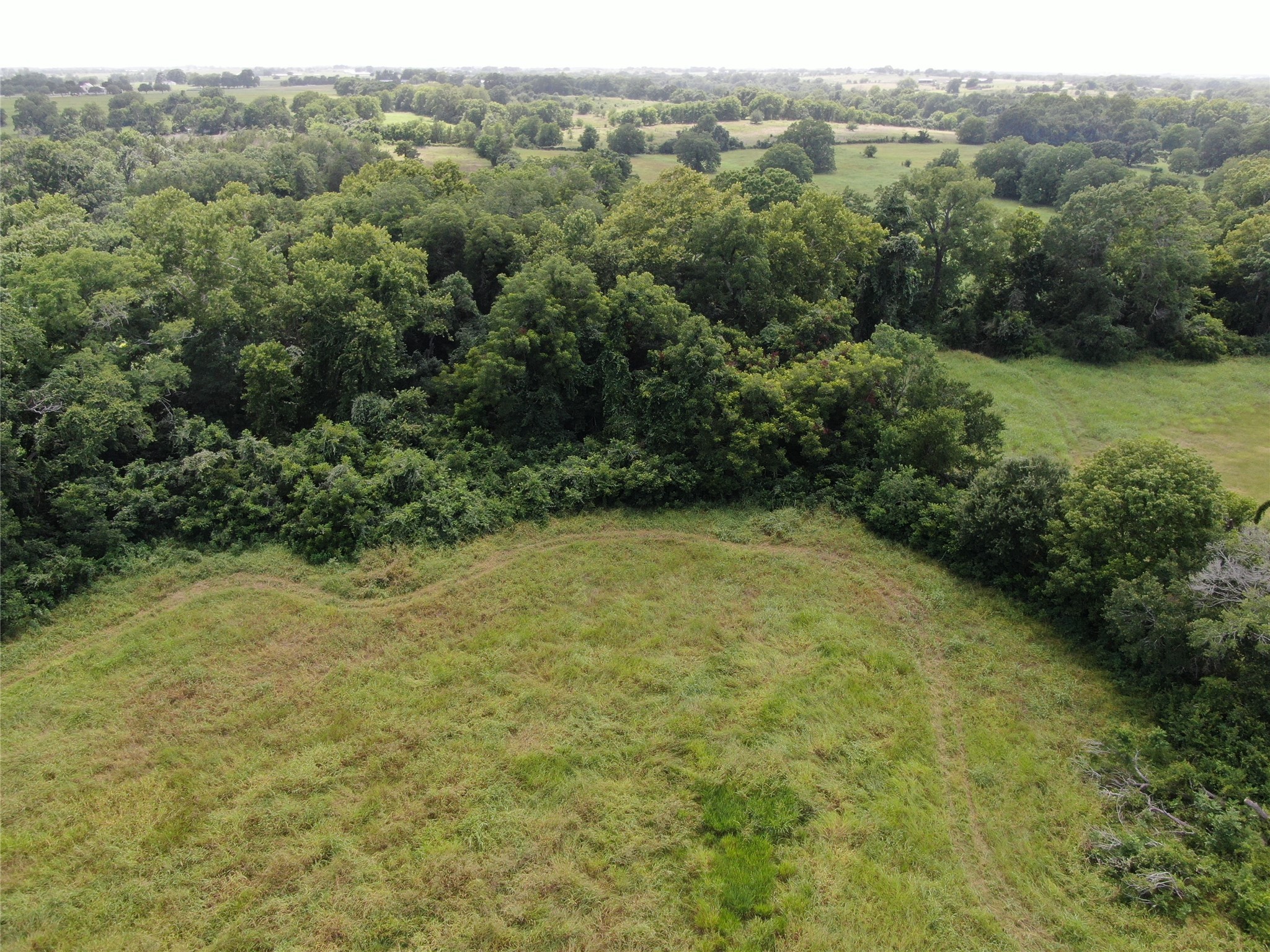 1399 Star Hill Road New Ulm, TX 78950 - Photo 10 of 42